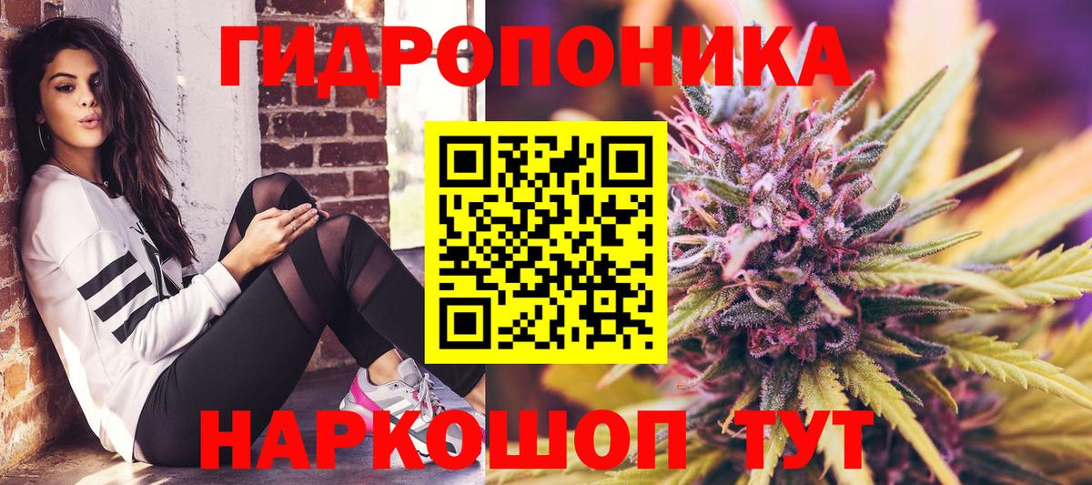 Бошки марихуана White Widow Минусинск